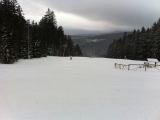 IMG_1227.JPG